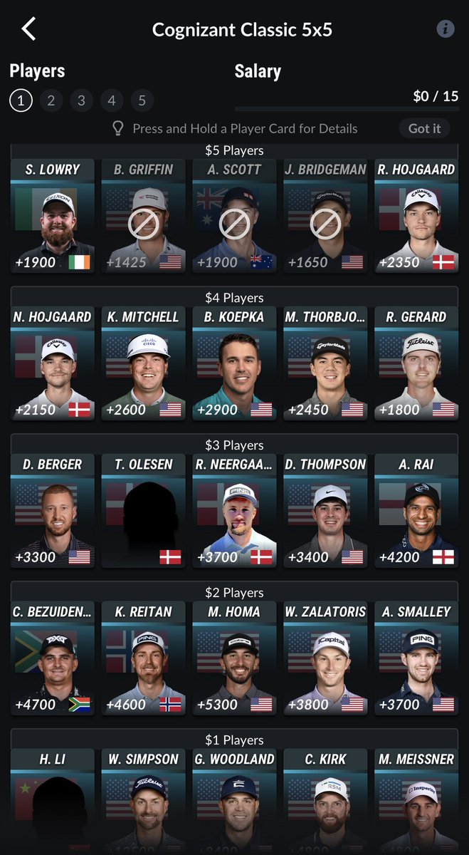 Pat Mayo tweet media