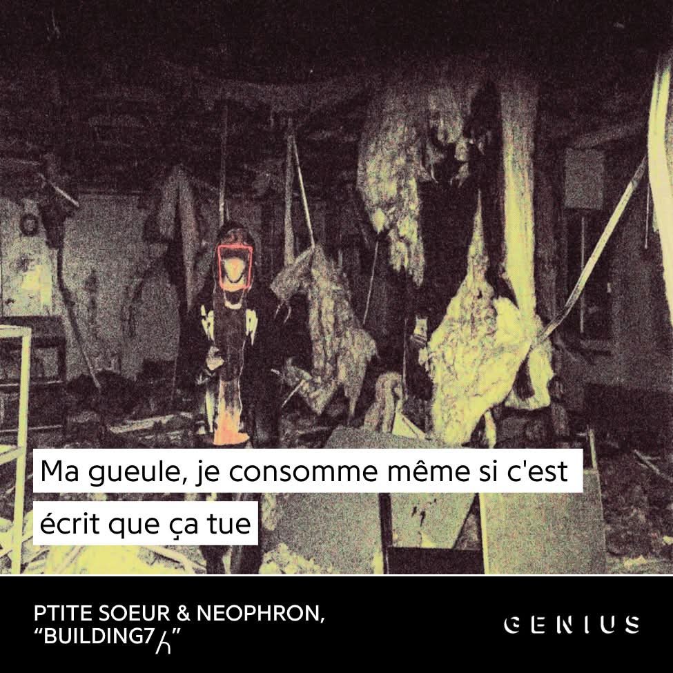 Mafia Trans tweet media