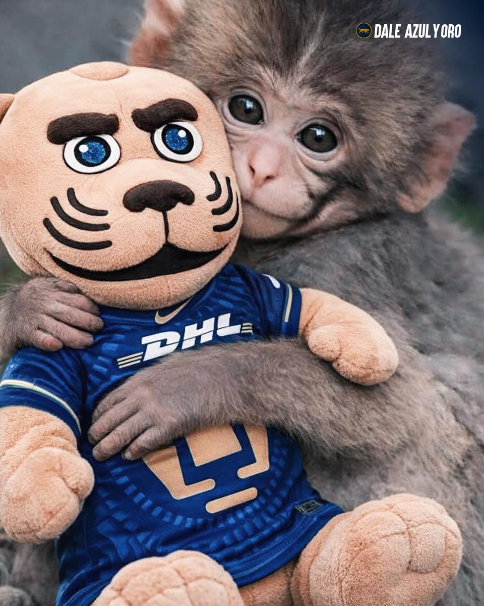 DaleAzulyOro's tweet photo. Somos Pumas en las buenas, en las malas y en las épicas 🥰
Somos Puch con Goyo cada que lo necesitamos 🥺

#Pumas #Puch #Abrazo https://t.co/arhx8pj5C7