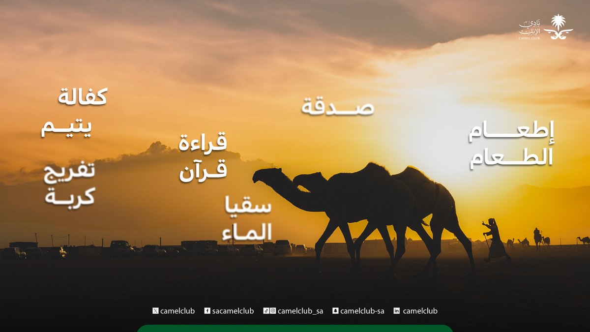 نادي الإبل tweet media