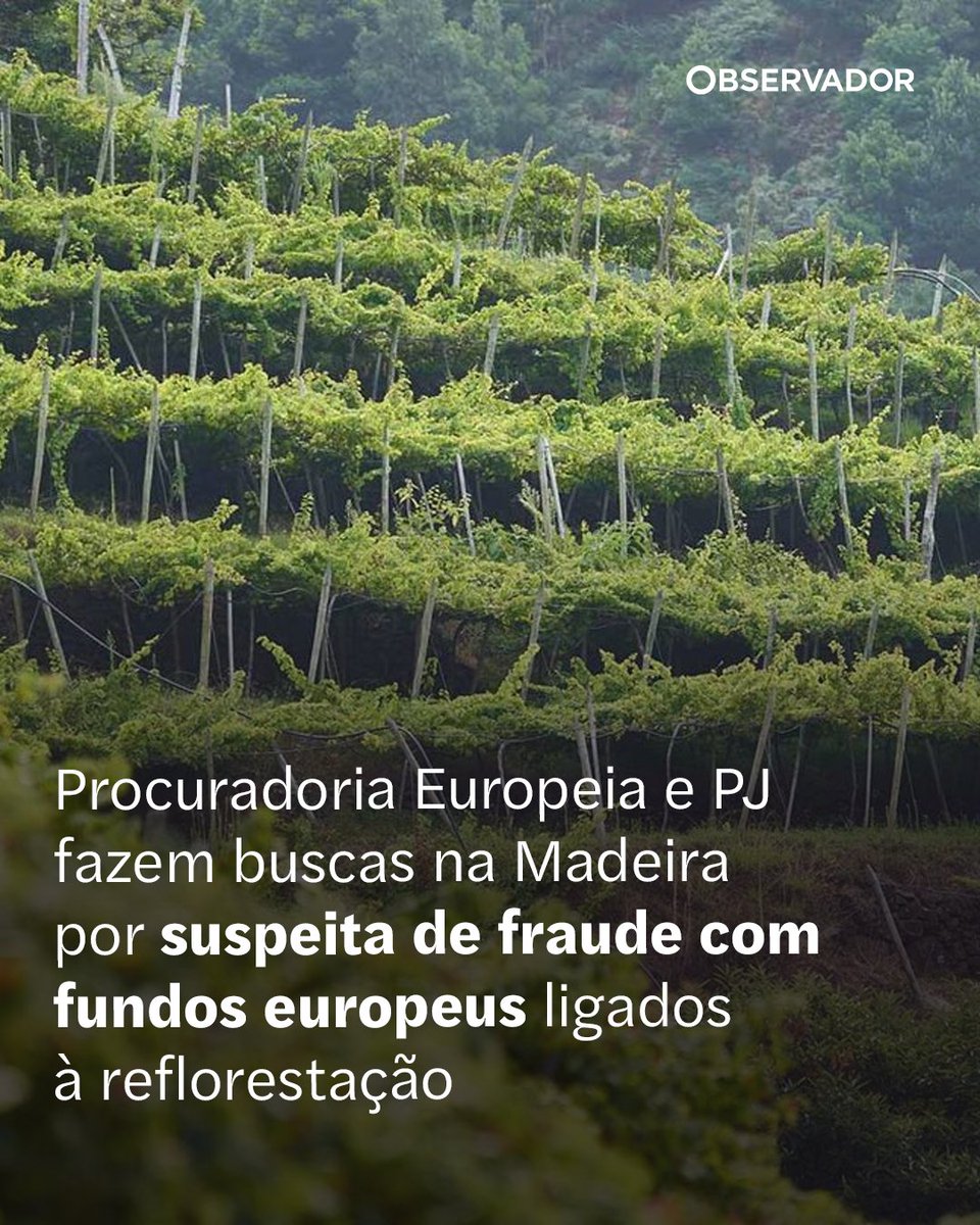 observadorpt's tweet photo. Cinco indivíduos foram constituídos arguidos, incluindo três funcionários públicos, e ainda duas empresas. Foram efetuadas 26 buscas no Funchal e em Lisboa no âmbito da operação "Terra Queimada".
Saiba mais no link nos comentários
#Madeira #Buscas #PolíciaJudiciária #Justiça https://t.co/jpyCl5v8p9