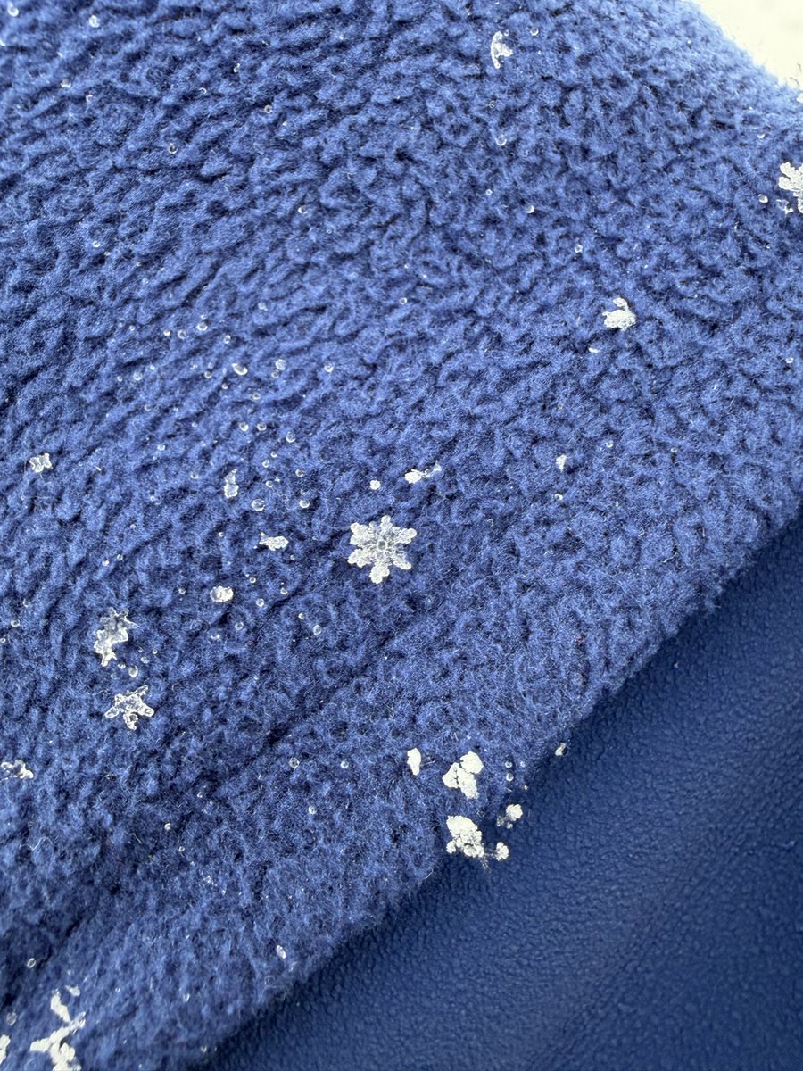 Kaitlin Farrell tweet media