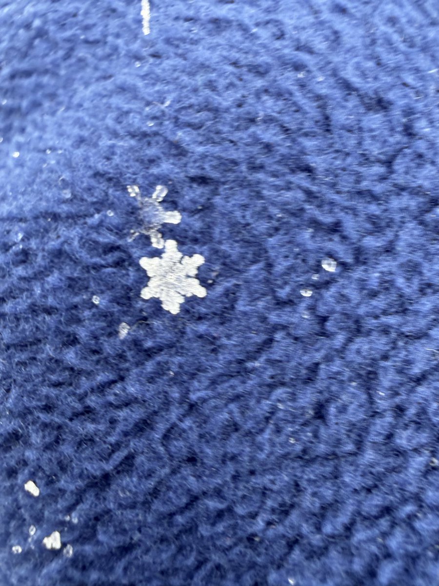 Kaitlin Farrell tweet media