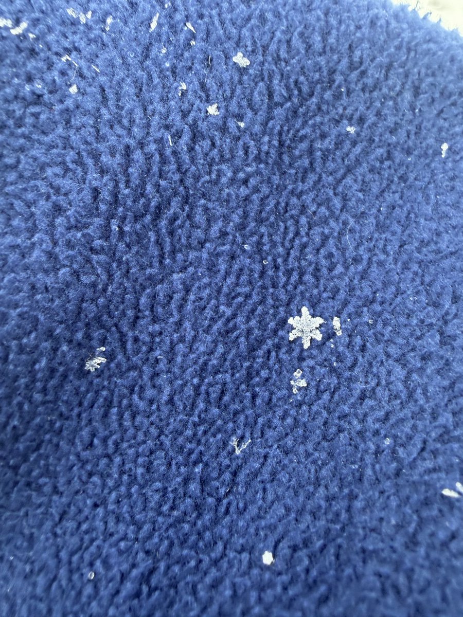 Kaitlin Farrell tweet media