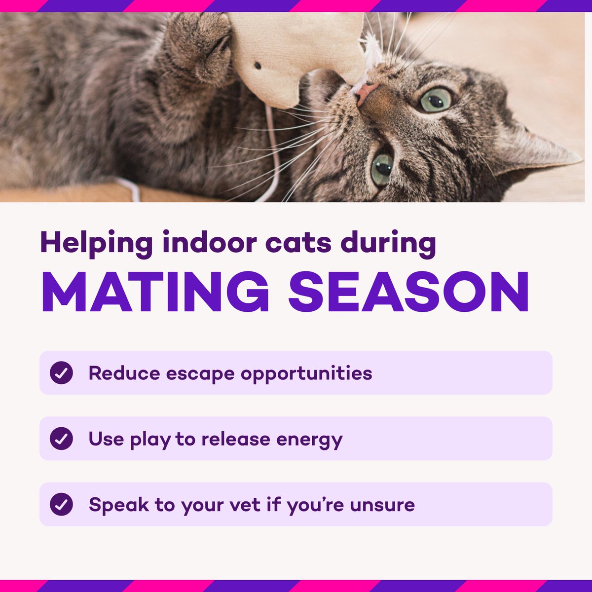 Policy Expert tweet media