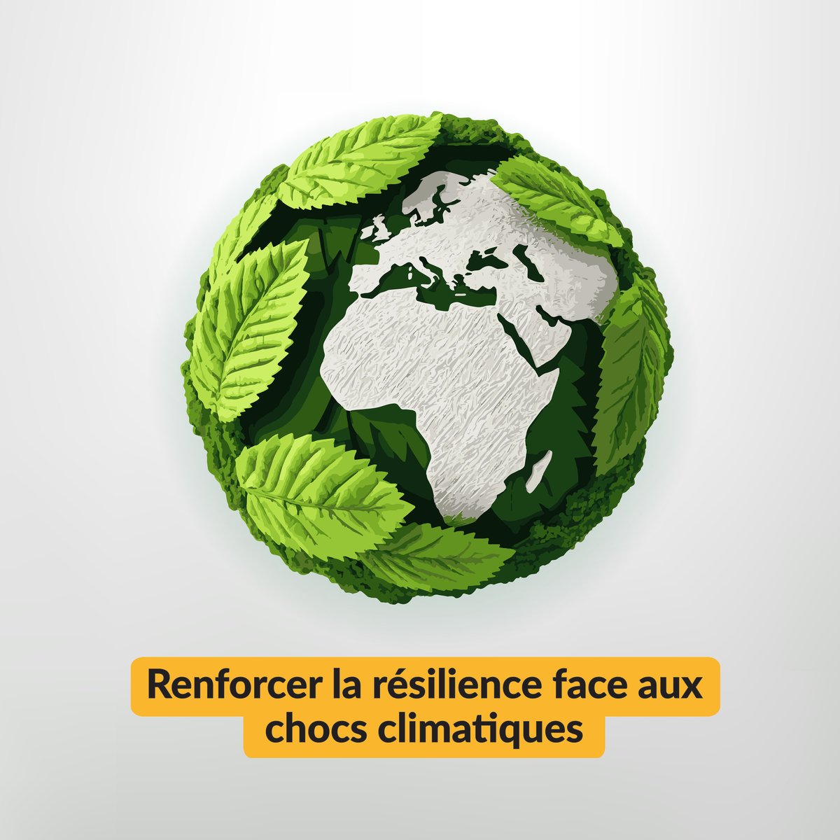 Face aux chocs climatiques extrêmes, renforcer la résilience n'est plus une option.
Infrastructures durables, systèmes d'alerte précoce, assurance récolte… La BOAD accompagne ses États membres pour mieux prévenir et gérer les risques.