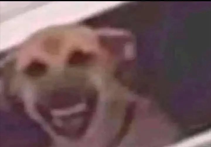 Wewe Avi yako ikona Pedri na unasupport Real Madrid ,is it logic