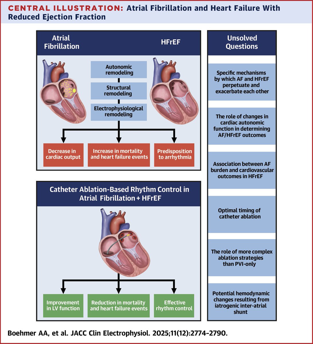 Jacopo Imberti tweet media