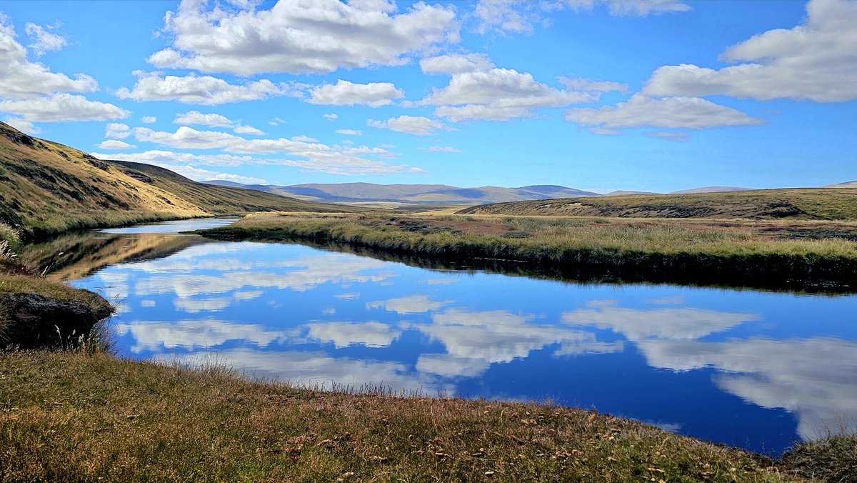 Sue Luxton tweet media