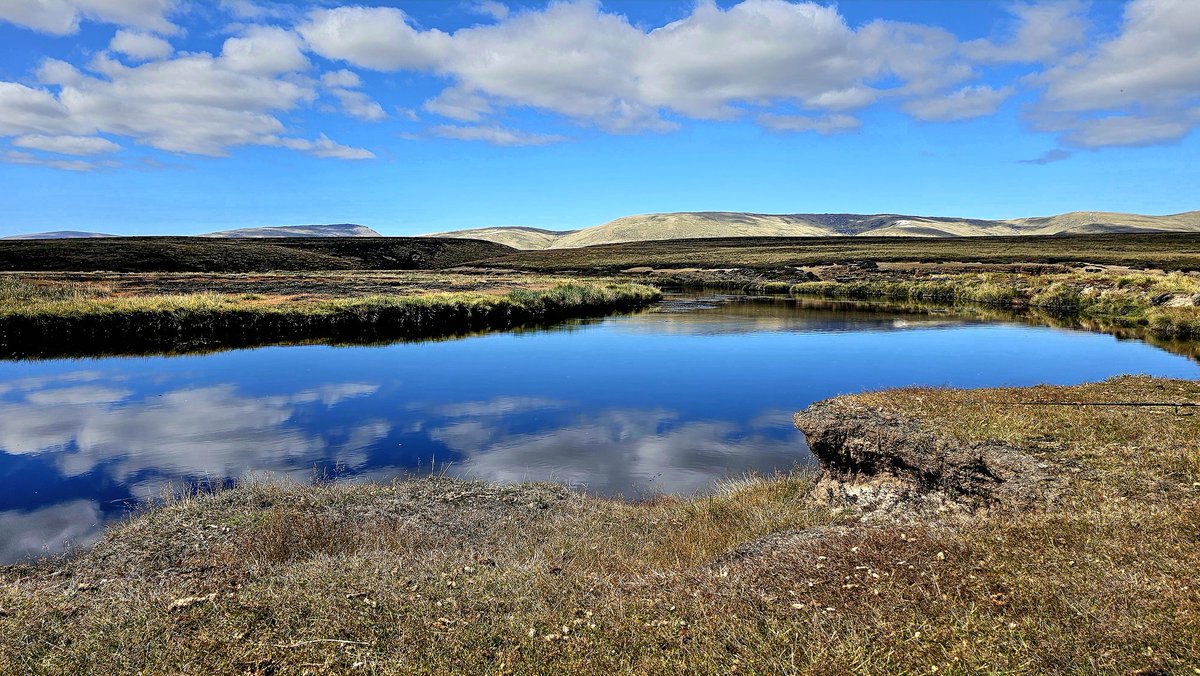 Sue Luxton tweet media