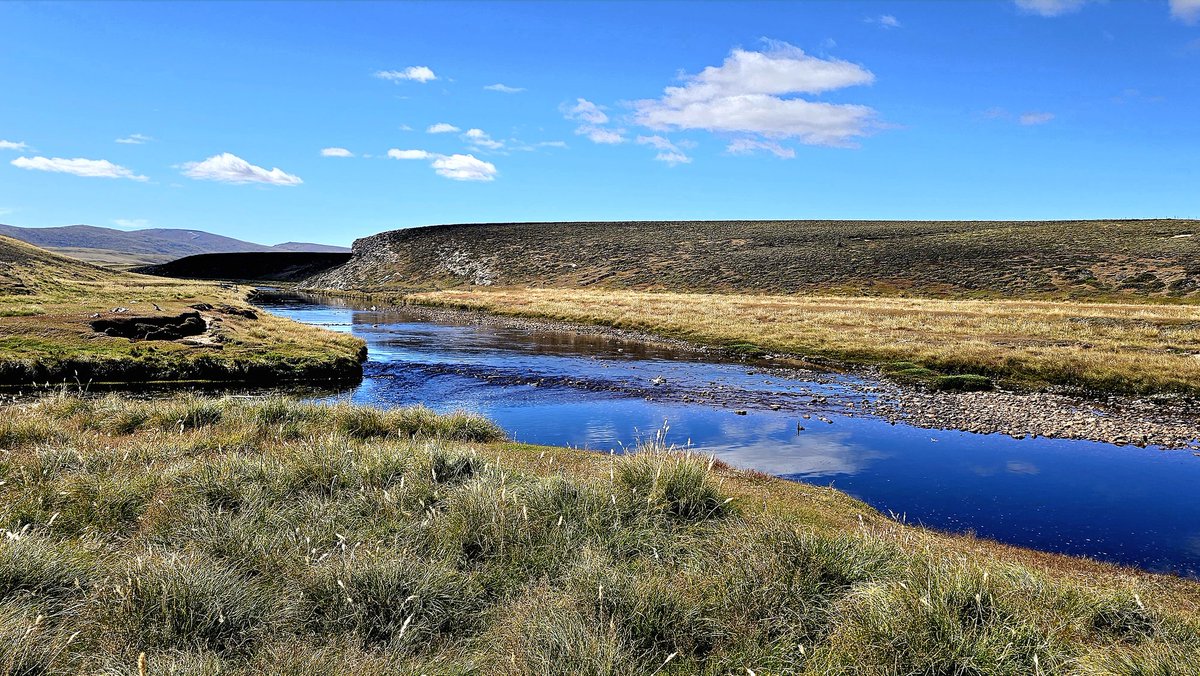 Sue Luxton tweet media