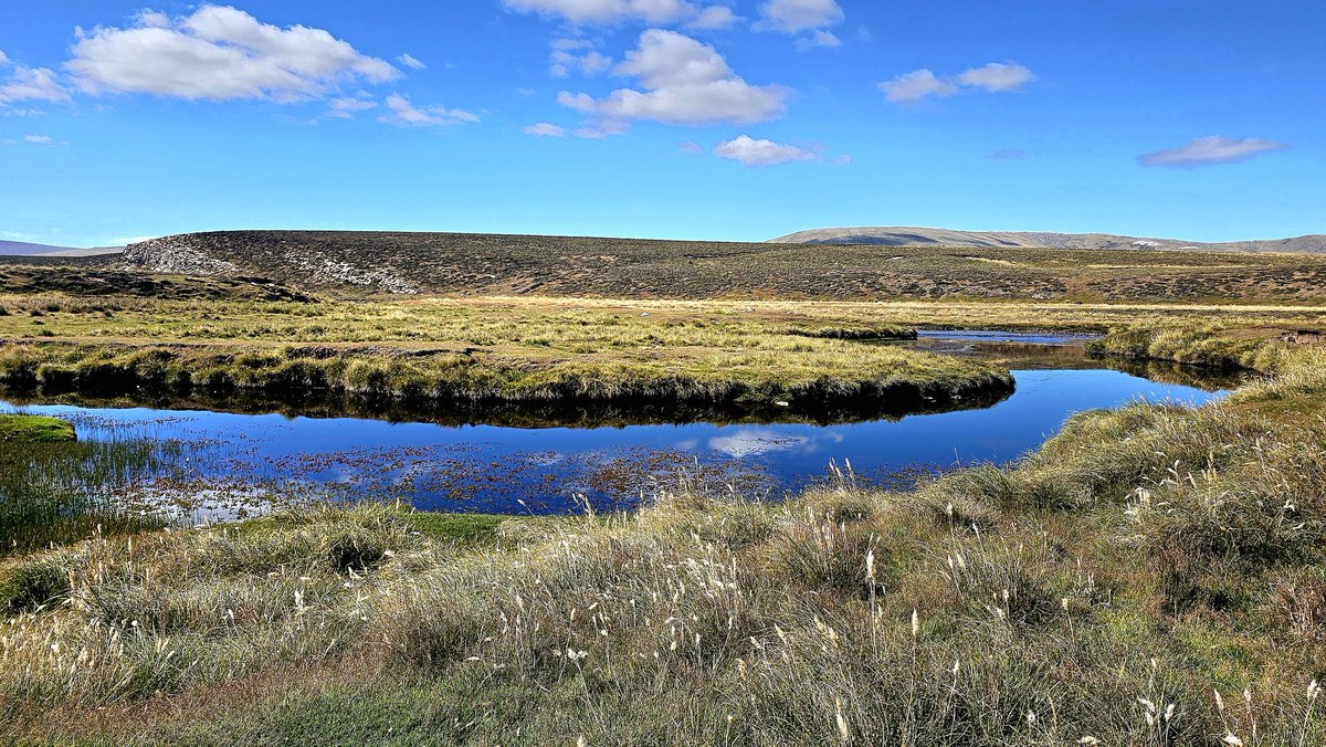 Sue Luxton tweet media