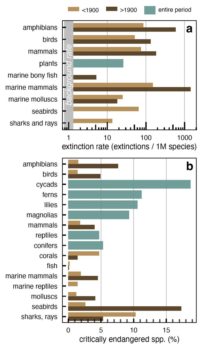 Kyle Van Houtan, Ph.D. tweet media
