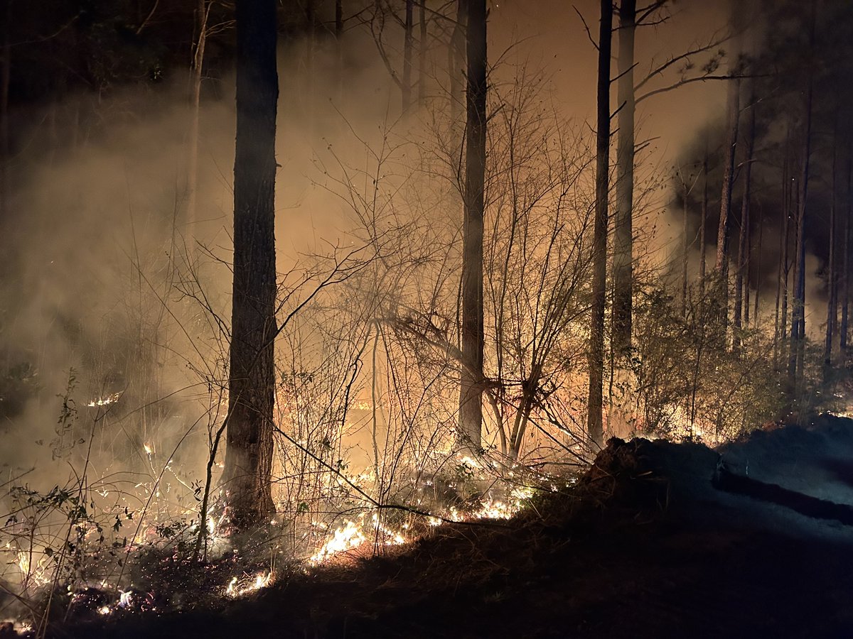 MS Forestry Commission tweet media