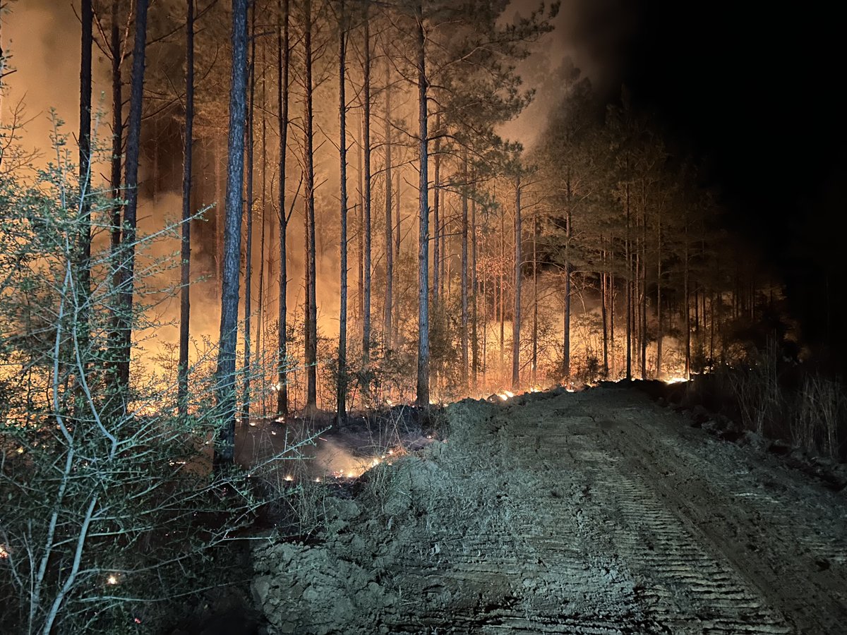 MS Forestry Commission tweet media