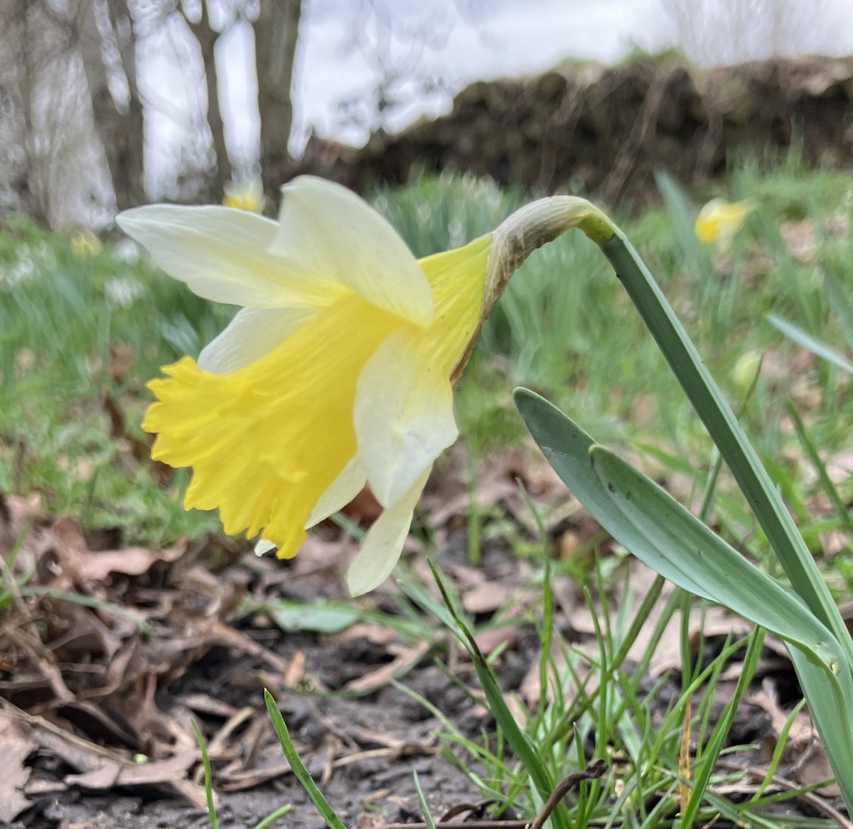 Friends of Richmond Park tweet media