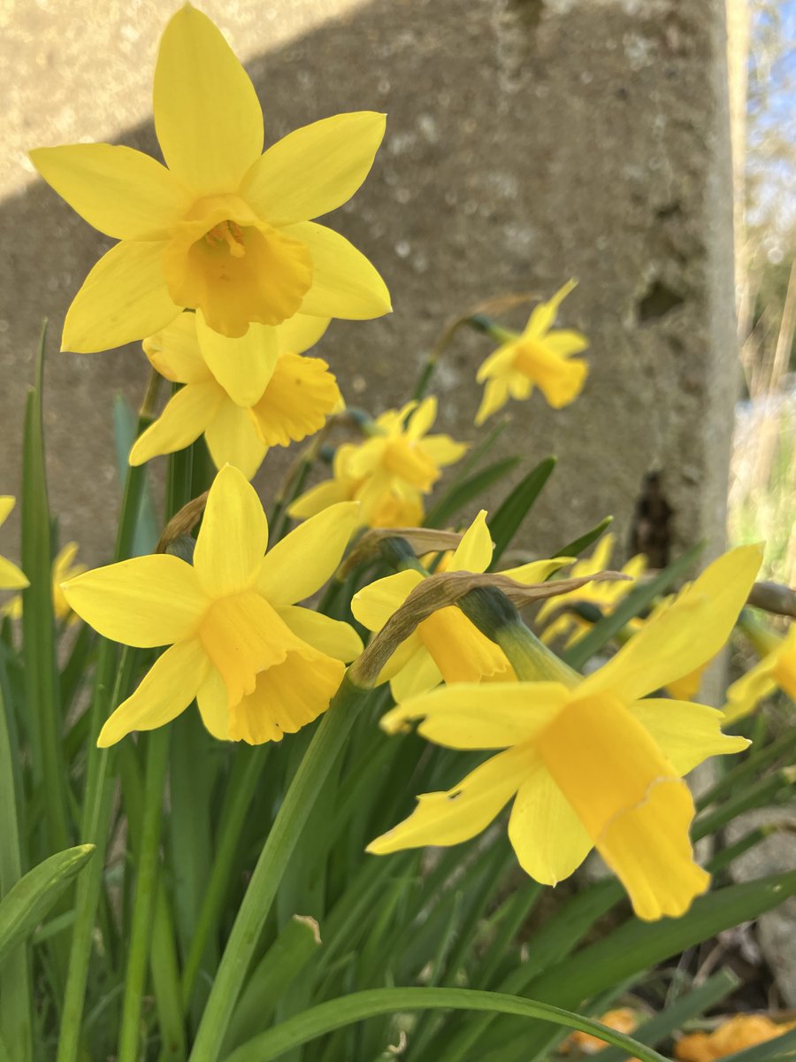 Friends of Richmond Park tweet media