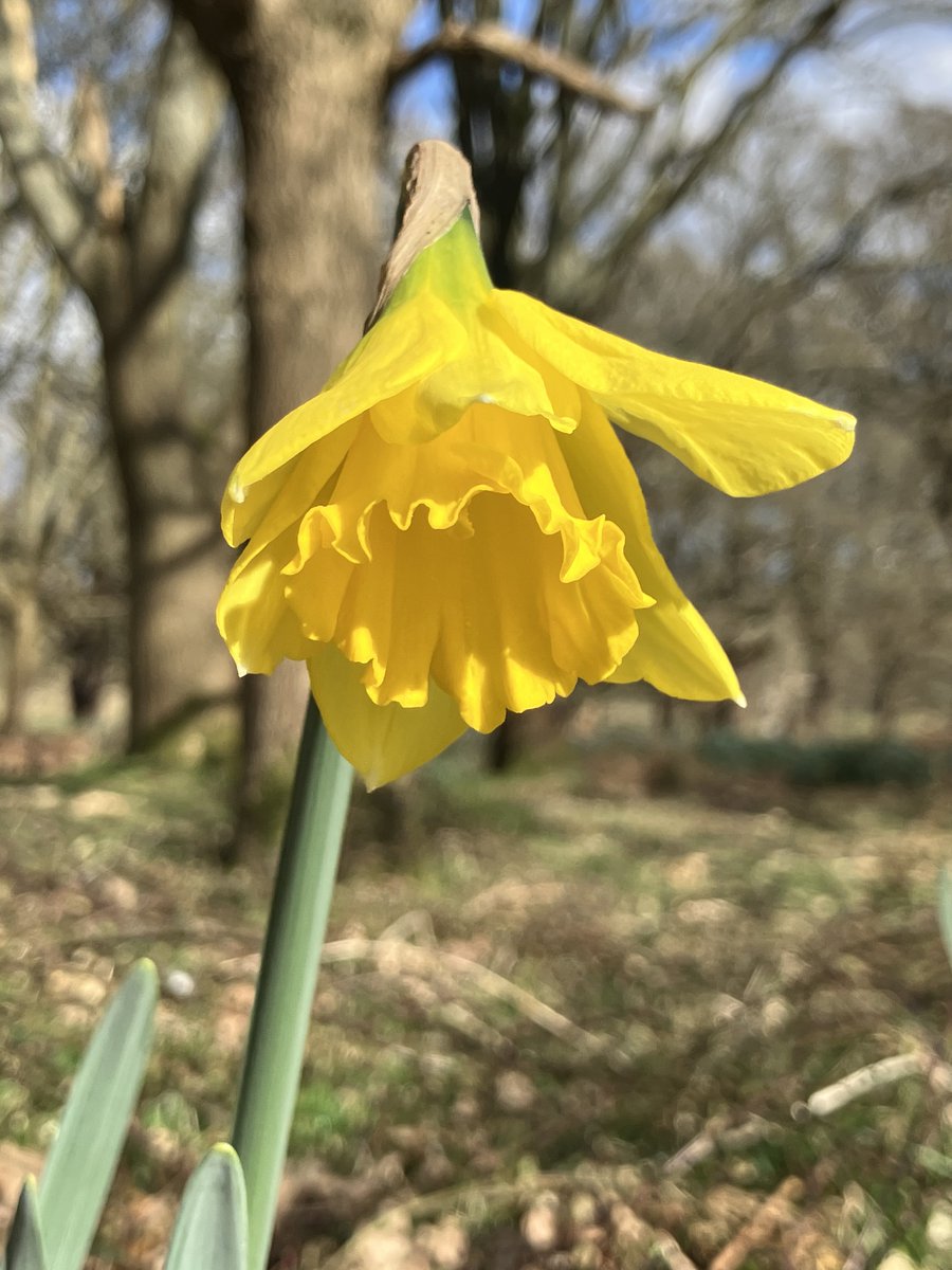 Friends of Richmond Park tweet media