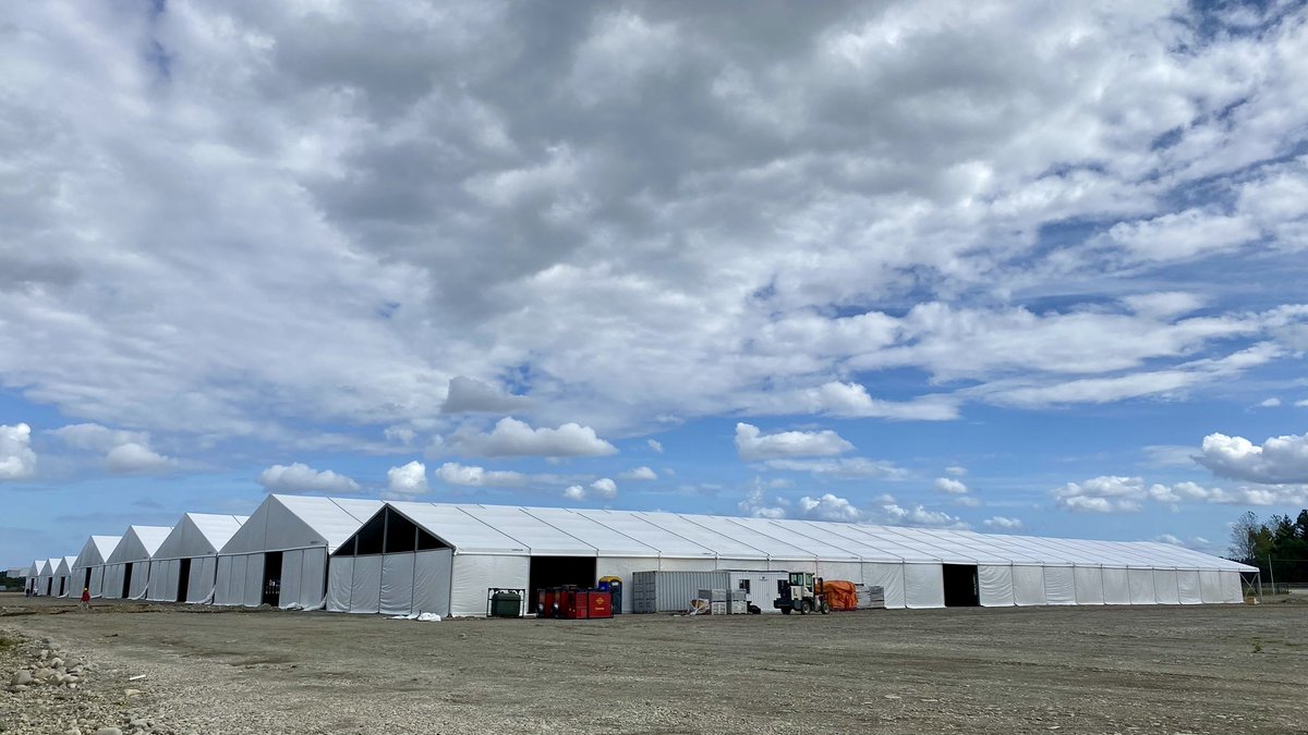 T-Vinet HD tweet media