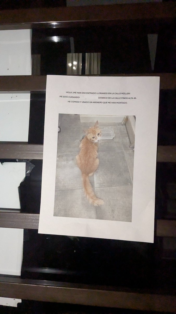 Mtenenbaum_'s tweet photo. Está mañana sobre las 10, ha aparecido un gato bastante asustado, pero muy amigable.
Se han colocados carteles por el barrio para encontrar a su familia. Comparto a ver si hay suerte 🩷
#tetuan #valdeacederas #tetuanmadrid #gatoperdido https://t.co/qD1zUJMXHg