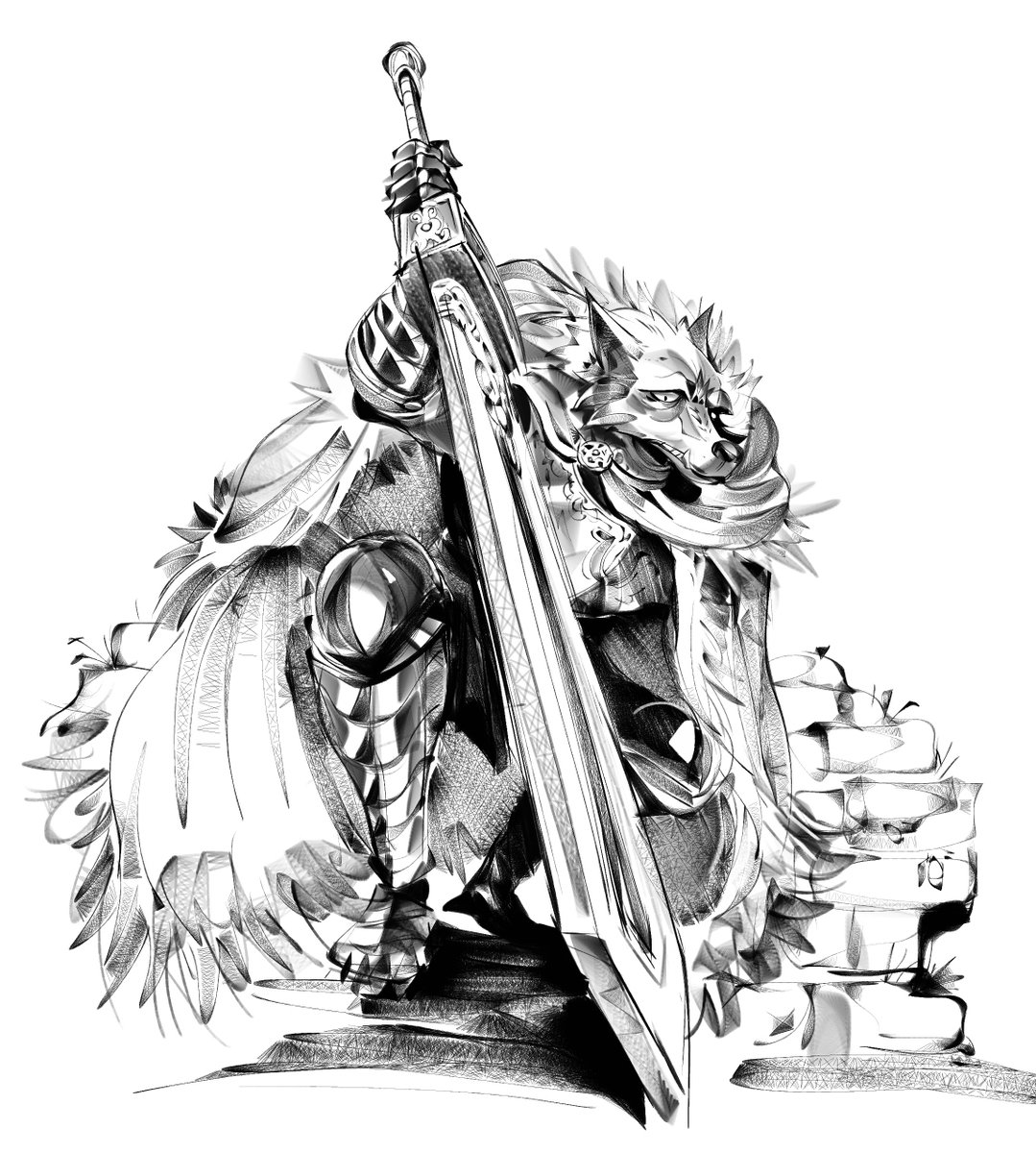 A Pirate named Curly tweet media