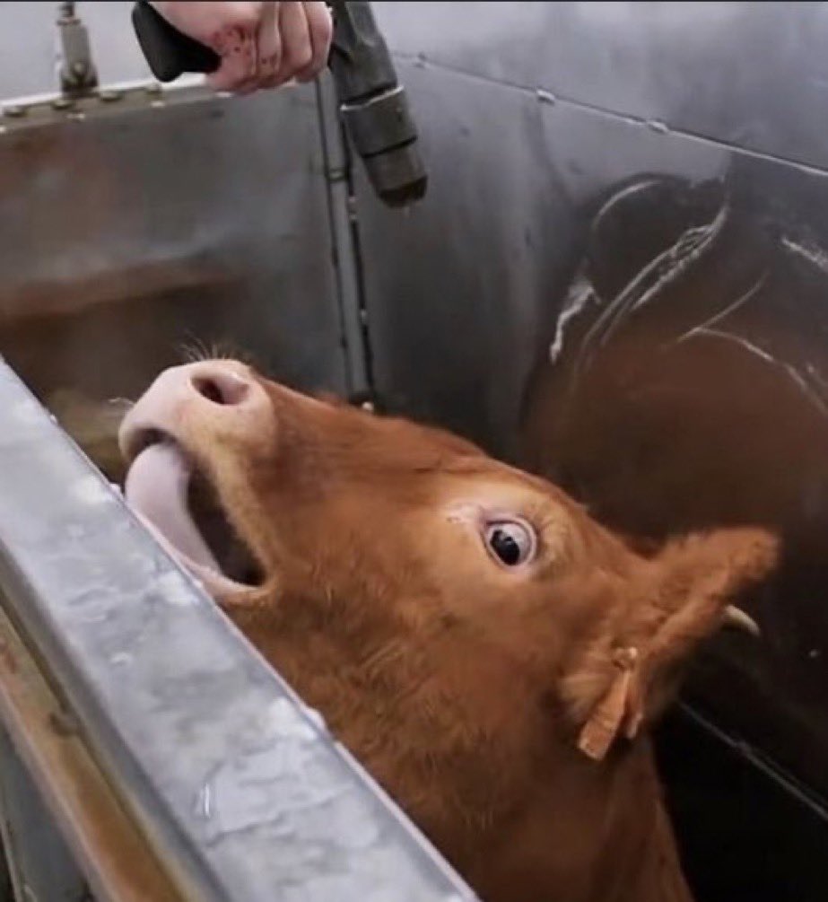 Maitre Christophe Gerard tweet media