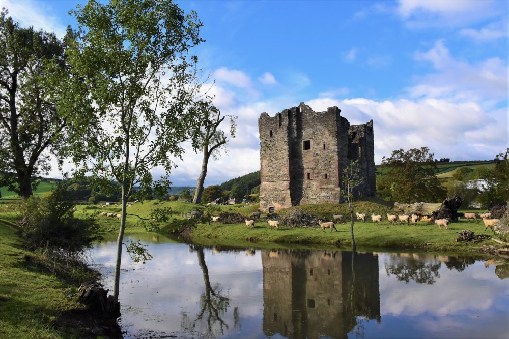 Pendragon Foundation tweet media