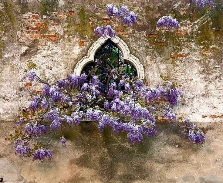 Les Voltes Llibreria tweet media