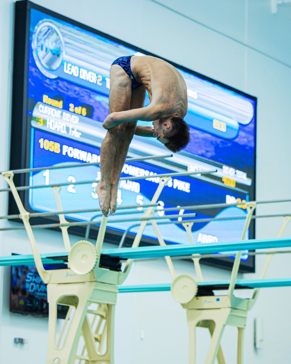 uncwswimdive's tweet photo. day โ๏ธ
#SeahawkSwimDive https://t.co/IiqNbdGm7J