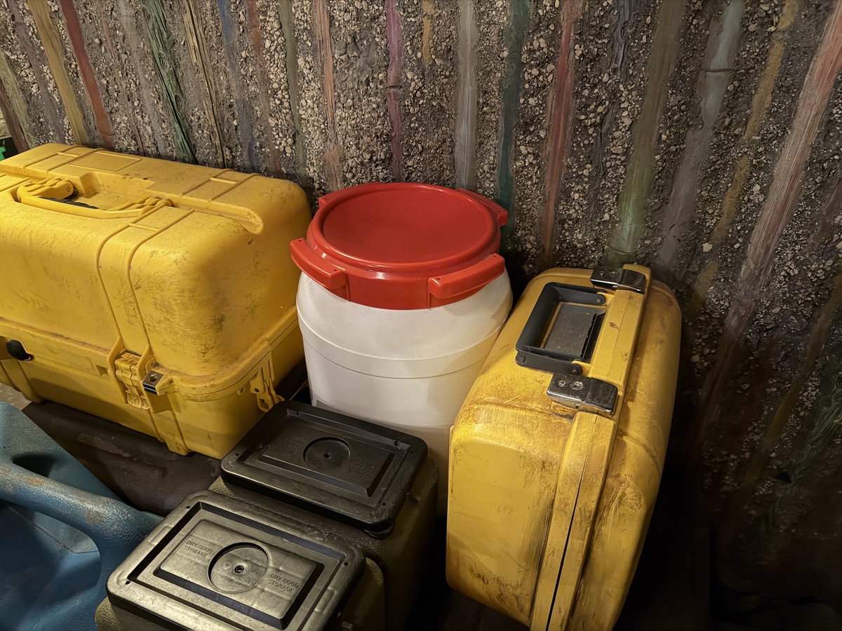 Alicia Stella tweet media