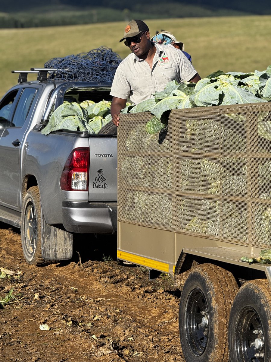 ndela farming tweet media