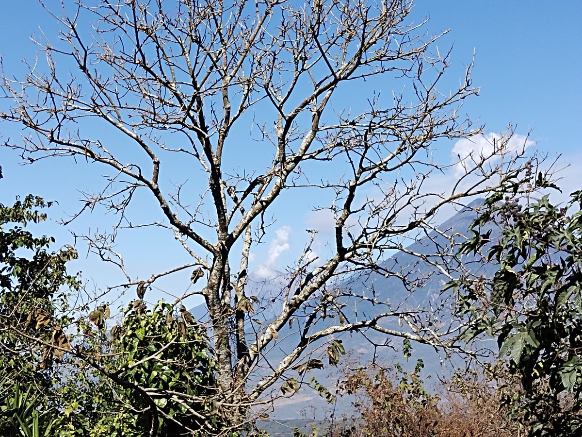 Monroygaitaned's tweet photo. Los paisajes de Guatemala https://t.co/IewnGg1amE