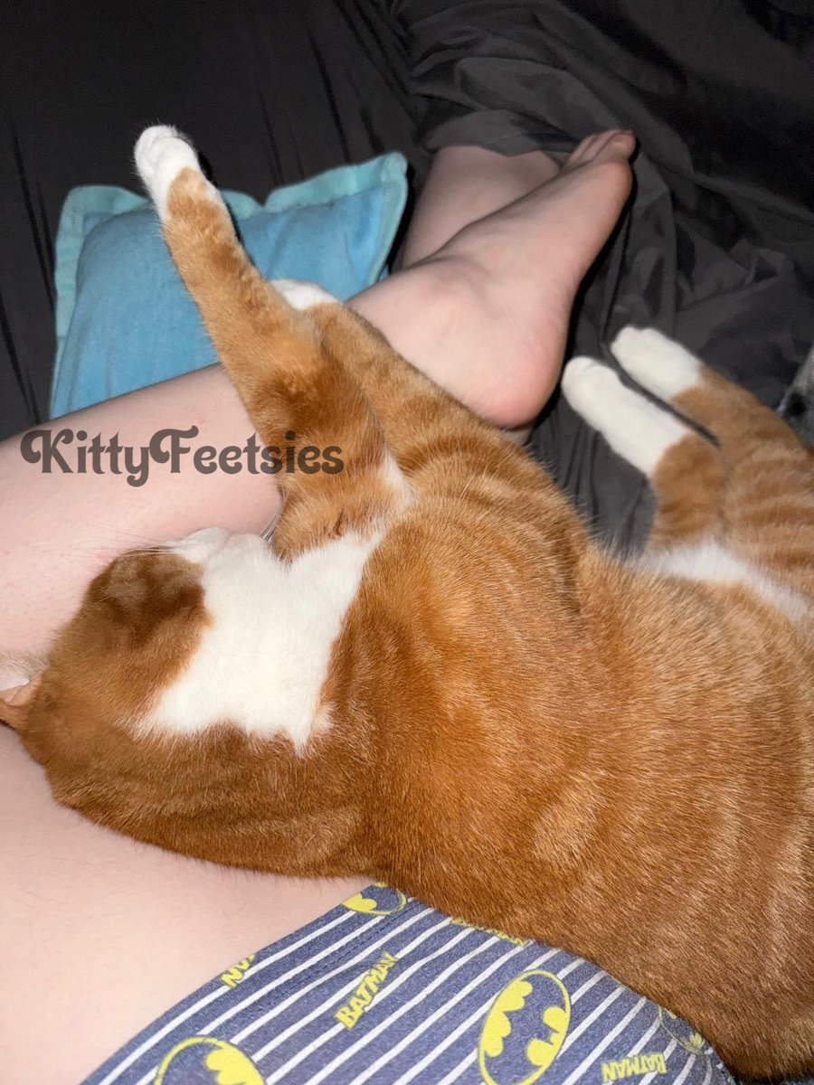 KittyFeetsies 🇨🇦 tweet media