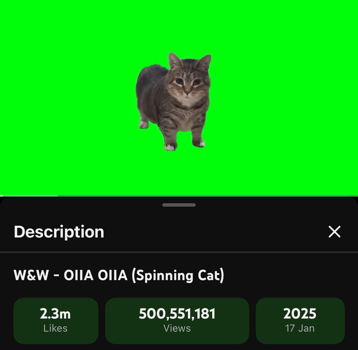 RaRa 🇧🇷 tweet media