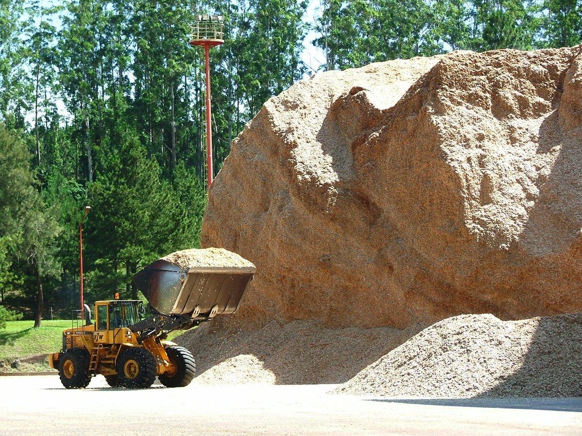 Argentina Forestal tweet media