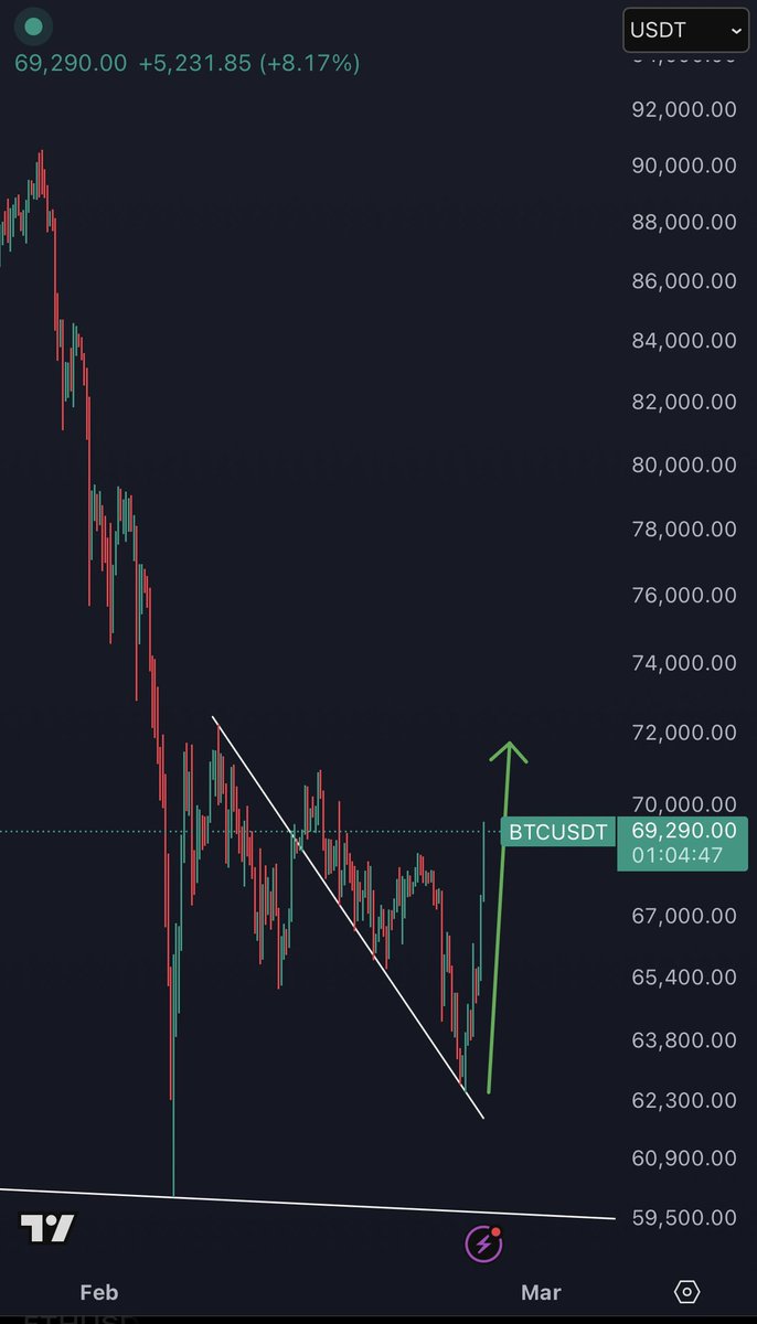 K A L E O tweet media