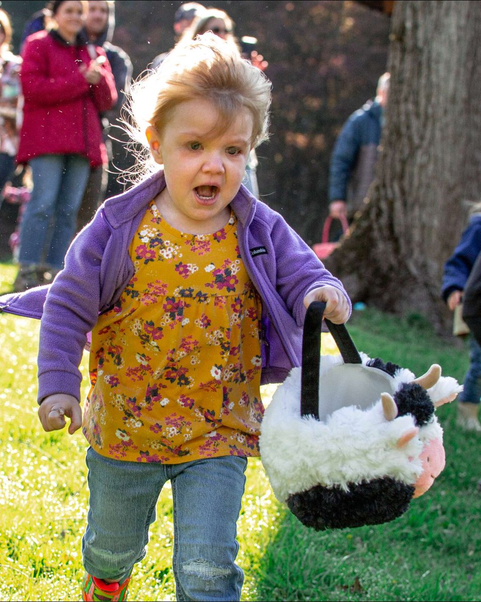 Project Chimps tweet media