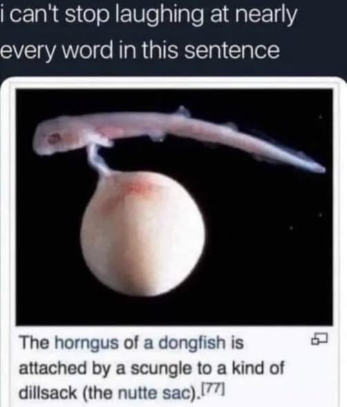 Orwell & Goode (@orwellngoode) on Twitter photo 