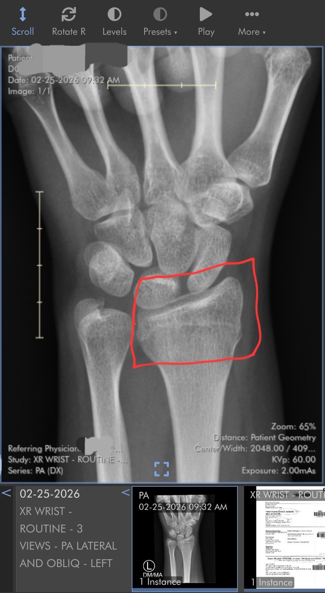 Izze 🦁🐻 tweet media
