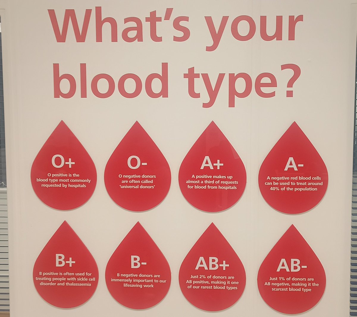 RLSS UK Warwickshire tweet media