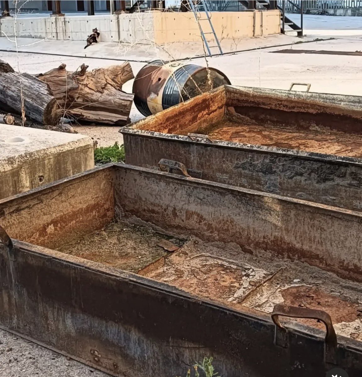 lavecinalmalaga tweet media