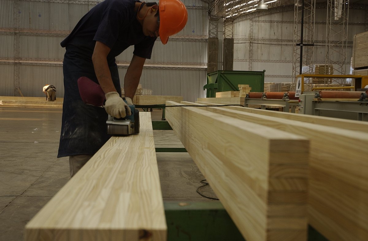 Argentina Forestal tweet media