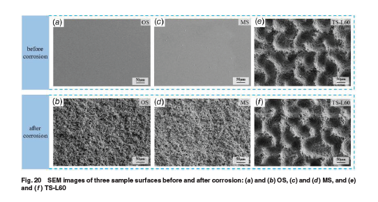 ASMEJournals's tweet image. Anti-wear and anticorrosion performance of a superhydrophobic microtextured surface fabricated by laser ablation. asmedigitalcollection.asme.org/manufacturings…
#advancedmaterials #manufacturing