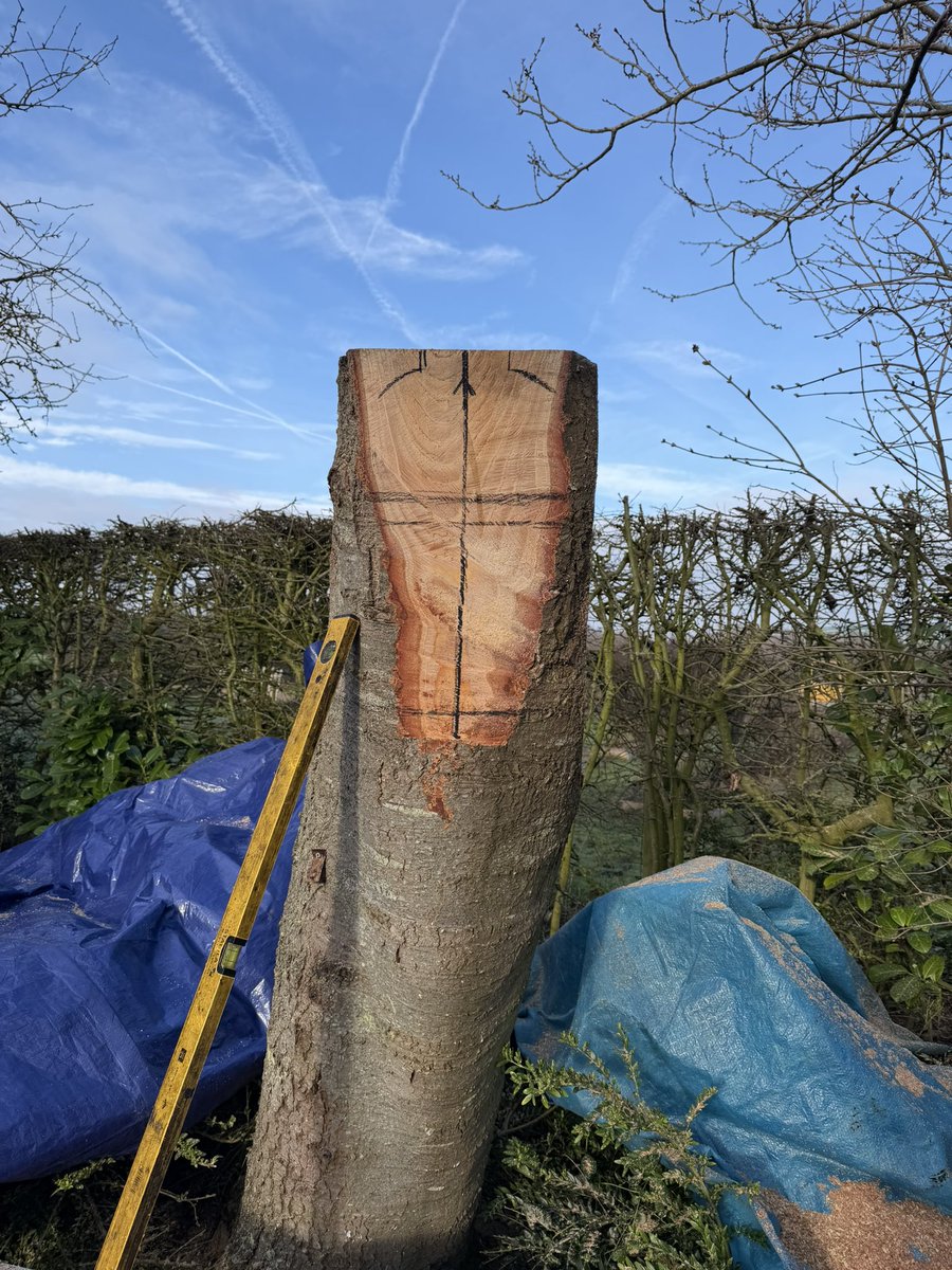 Andy Burgess tweet media