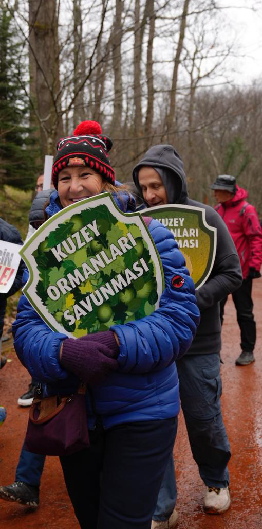 Kuzey Ormanları Savunması tweet media