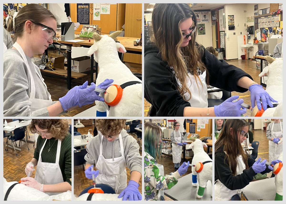 Hands-on learning in Large Animal Science! 🐄💉

Students are practicing proper intramuscular injection techniques and building real veterinary skills.

College. Careers. Leadership.

#FFAWeek #CTE #AgEducation