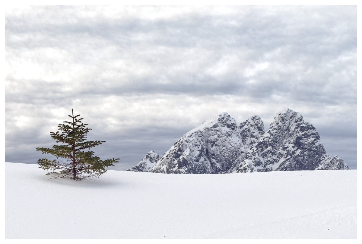 Shaun Mills tweet media