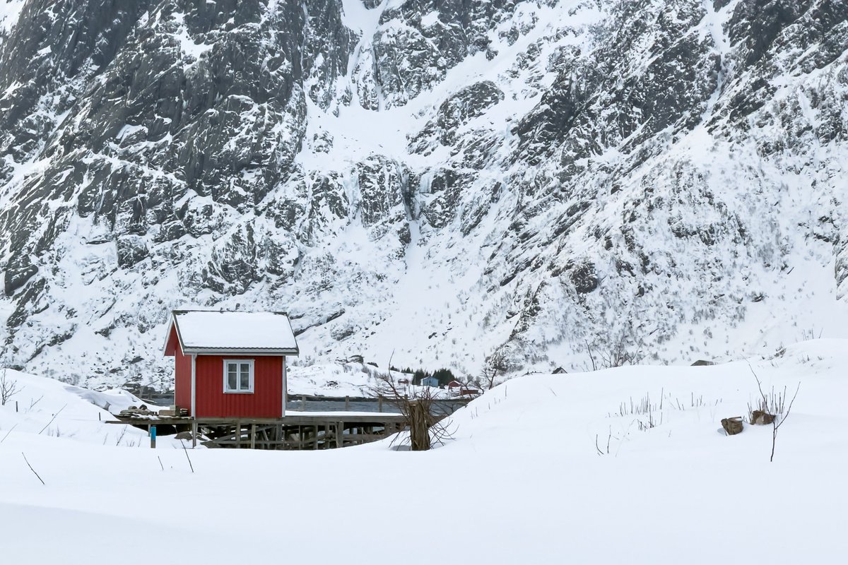 Shaun Mills tweet media