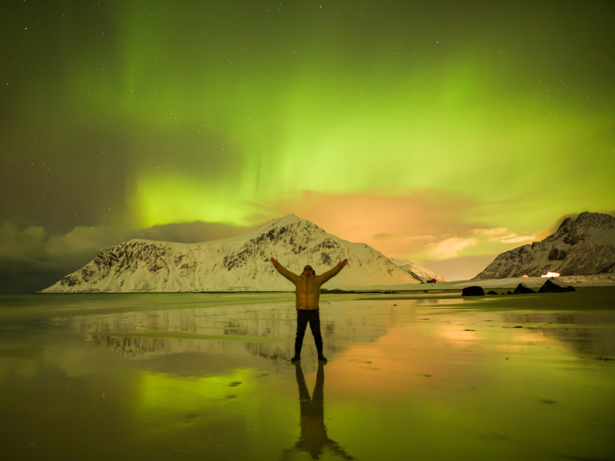 Shaun Mills tweet media