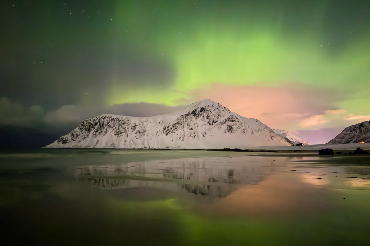 Shaun Mills tweet media